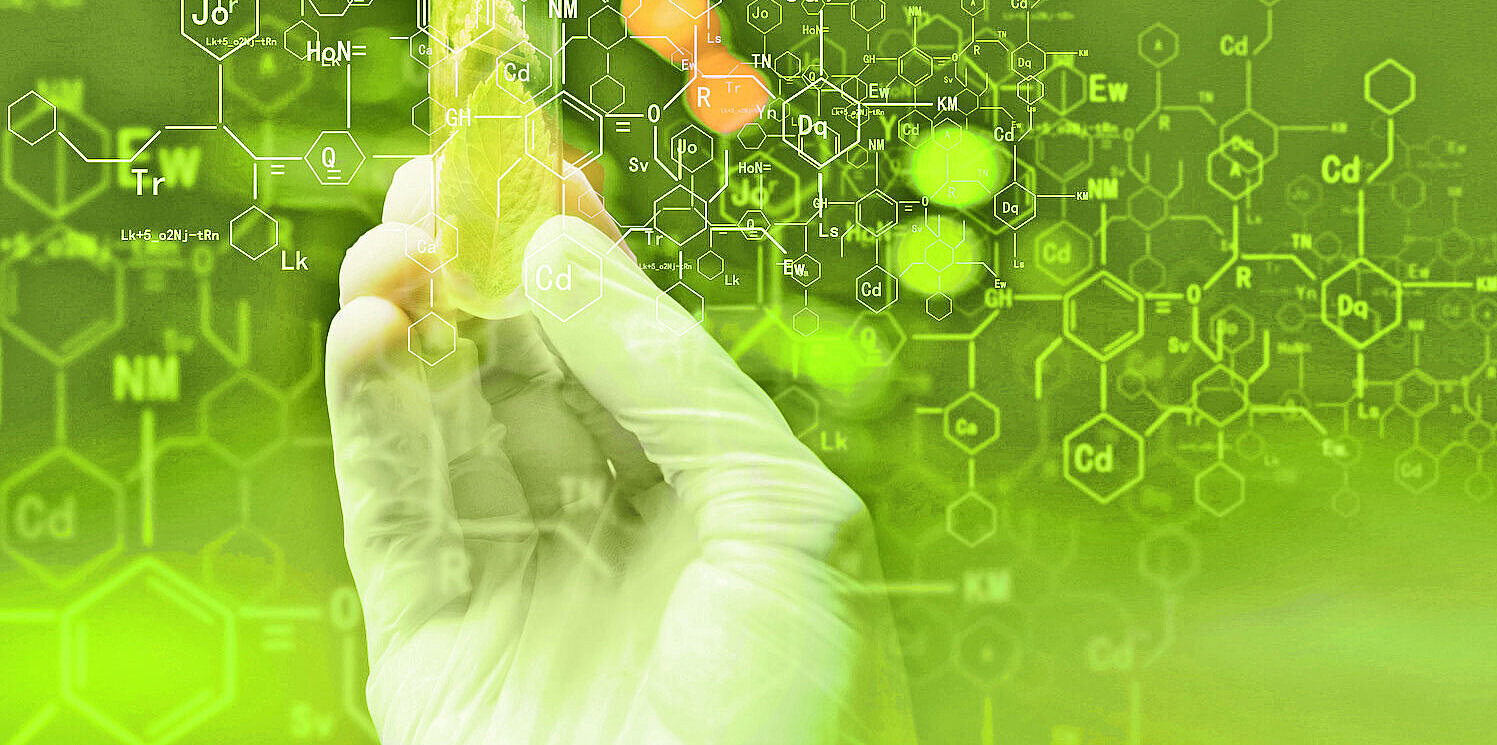 Foto Laborteströhrchen