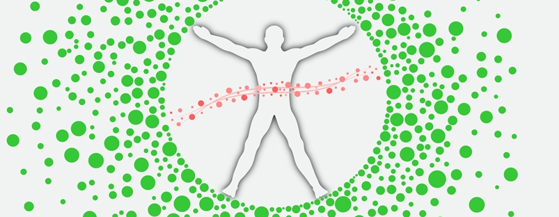 Grafische Darstellung von Umwelteinflüssen auf die menschliche Gesundheit